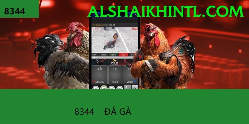 Đá Gà Trực Tiếp - siu88